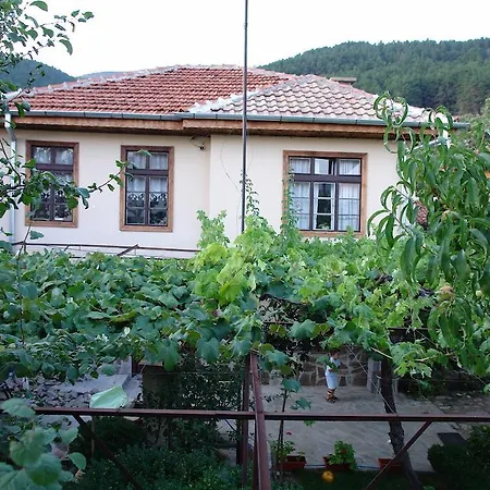 The House In Șipca