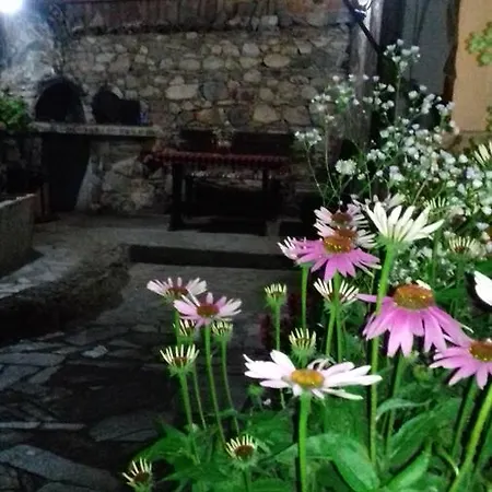 The House In *